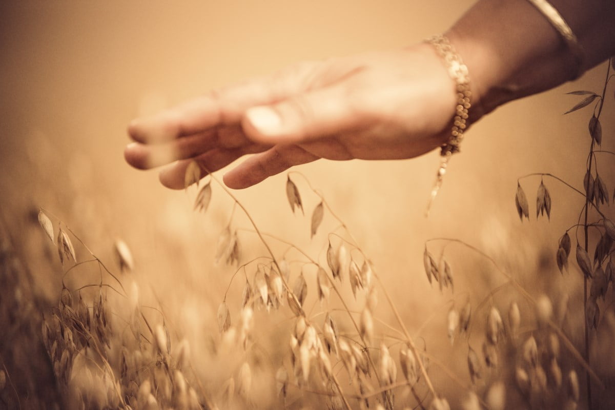 Aurskog Sparebank image from its website